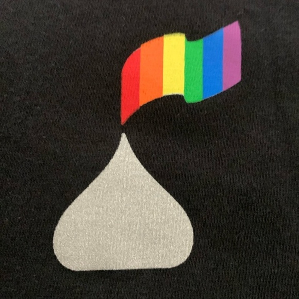 3/$20✨Hershey pride soft-style t-shirt ‘We’re with you’ Unisex - Picture 3 of 4
